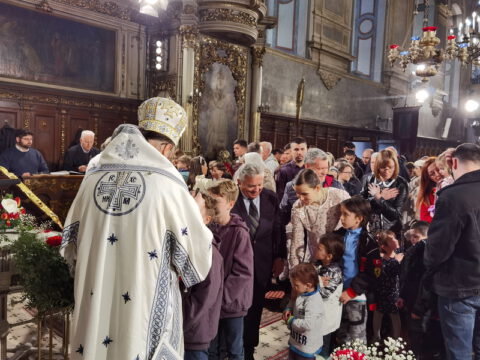 IMG_20230416_112423_resize