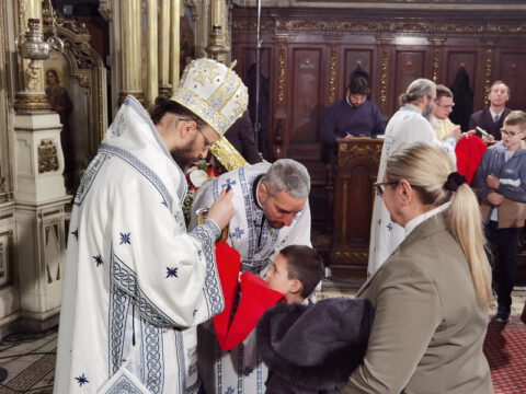 IMG_20230416_112517_resize