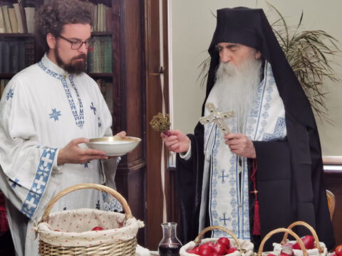 IMG_20230416_121244_resize