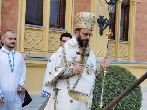 IMG_20230416_175349_resize