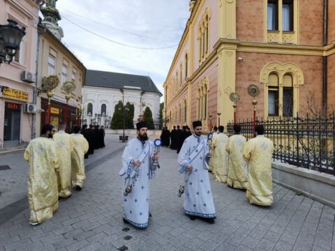 IMG_20230416_175413_resize