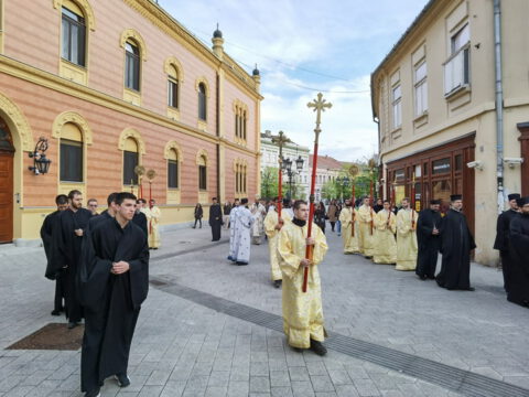 IMG_20230416_175500_resize