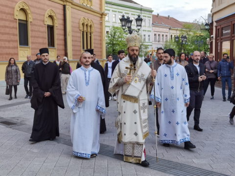 IMG_20230416_175516_resize