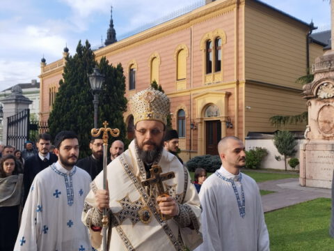 IMG_20230416_175617_resize