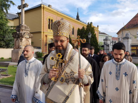 IMG_20230416_175626_resize