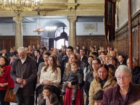 IMG_20230416_180850_resize