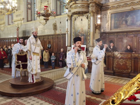 IMG_20230416_181201_resize