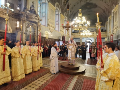 IMG_20230416_181948_resize