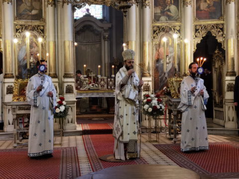 IMG_20230416_182500_resize