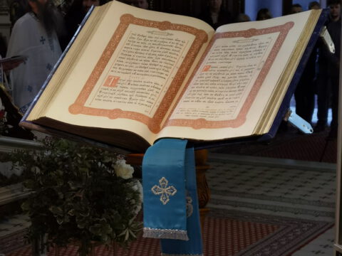 IMG_20230416_182828_resize