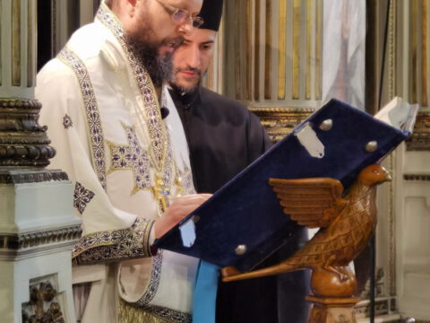 IMG_20230416_184241_resize