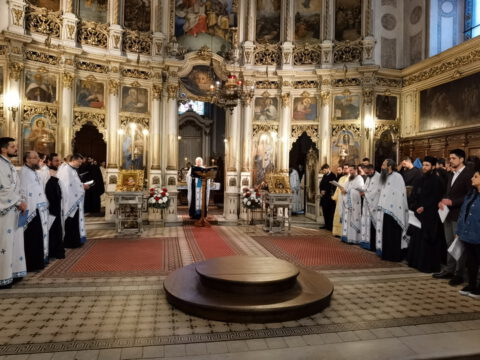 IMG_20230416_185828_resize