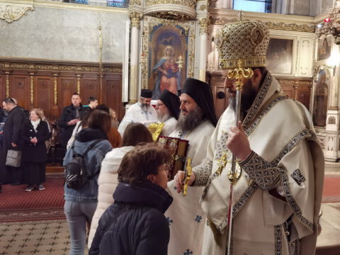 IMG_20230416_192413_resize