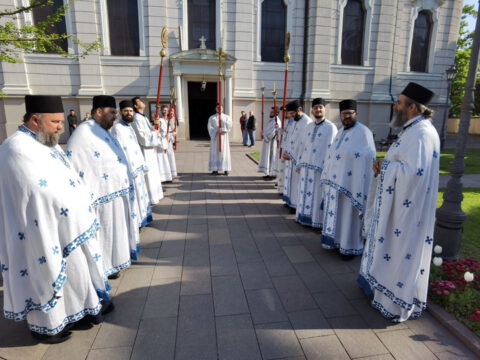 IMG_20230423_085116_resize