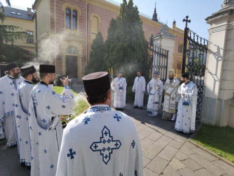 IMG_20230423_085748_resize