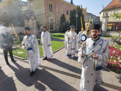 IMG_20230423_085823_resize