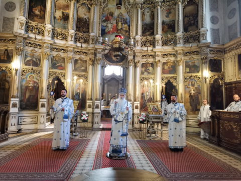 IMG_20230423_092353_resize