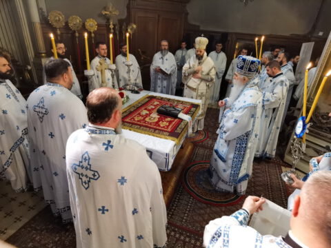 IMG_20230423_092531_resize