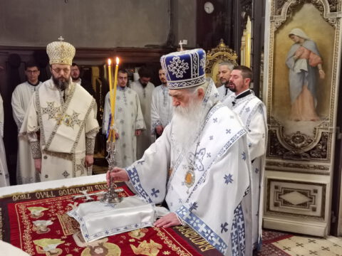 IMG_20230423_092955_resize