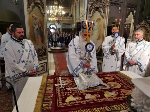 IMG_20230423_093048_resize