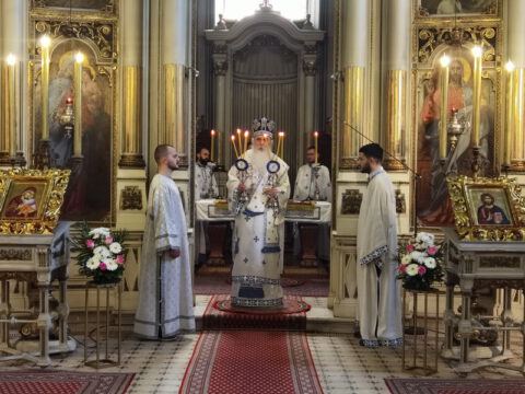 IMG_20230423_093159_resize