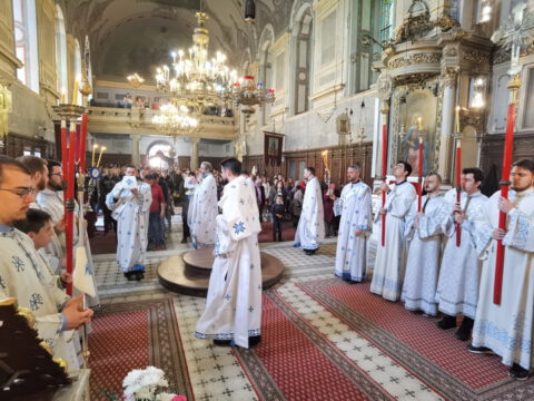 IMG_20230423_102354_resize