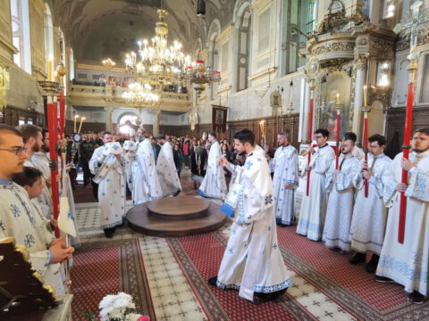 IMG_20230423_102355_resize