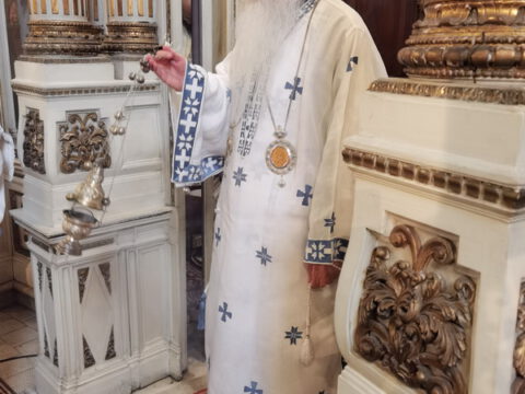 IMG_20230423_102404_resize