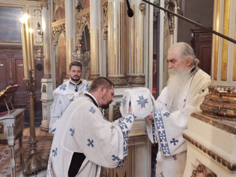 IMG_20230423_102423_1_resize