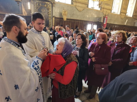 IMG_20230423_111259_1_resize