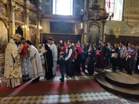 IMG_20230423_111337_resize