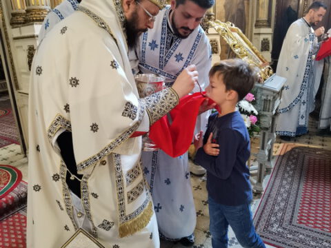 IMG_20230423_111418_resize