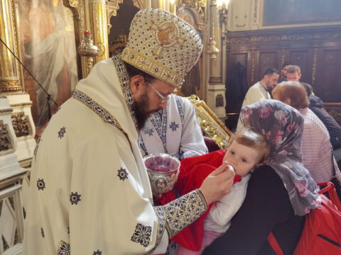 IMG_20230423_111435_resize