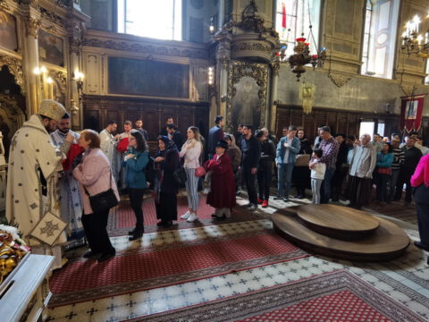 IMG_20230423_111517_resize