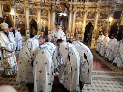 IMG_20230423_112624_resize