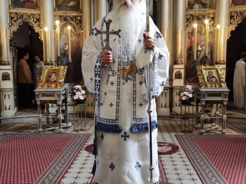 IMG_20230423_112649_resize