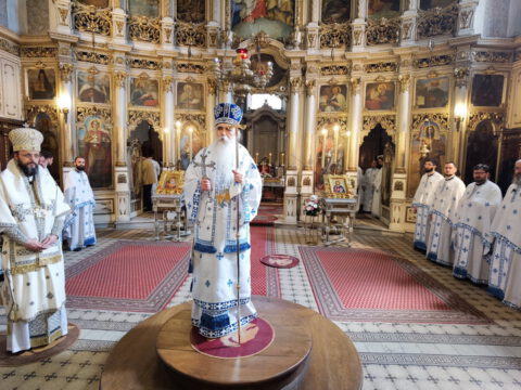 IMG_20230423_112744_resize