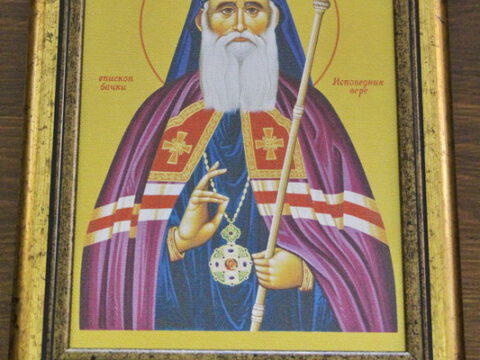 IMG_8667_resize_resize