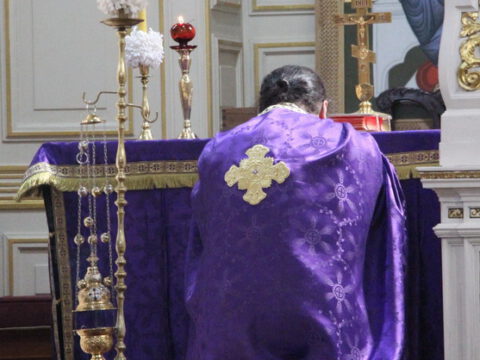 IMG_8690_resize_resize