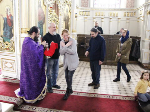 IMG_8705_resize_resize