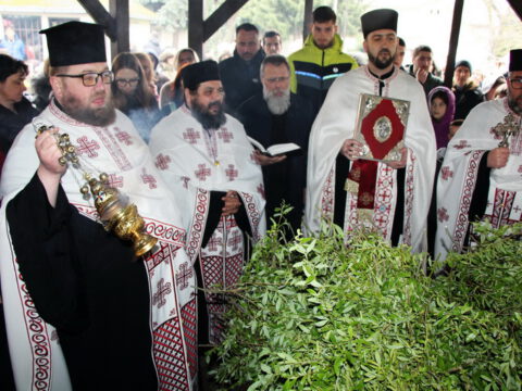 IMG_8720_resize_resize