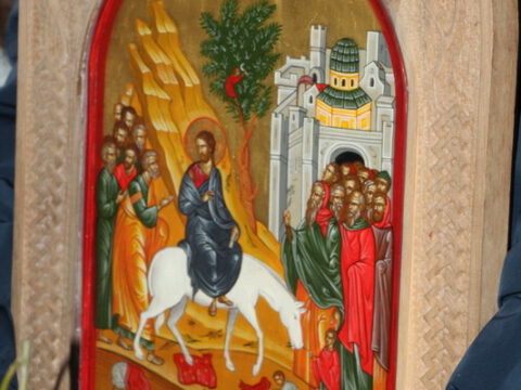 IMG_8727_resize_resize