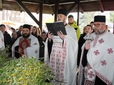 IMG_8729_resize_resize