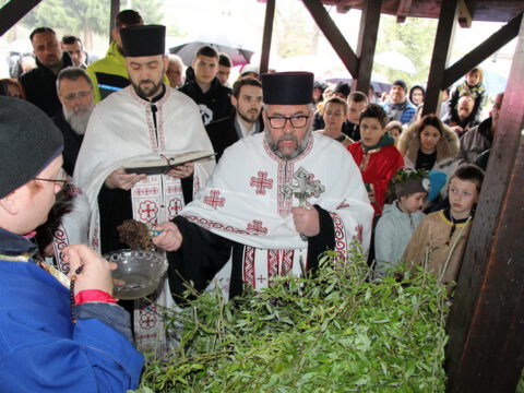 IMG_8732_resize_resize