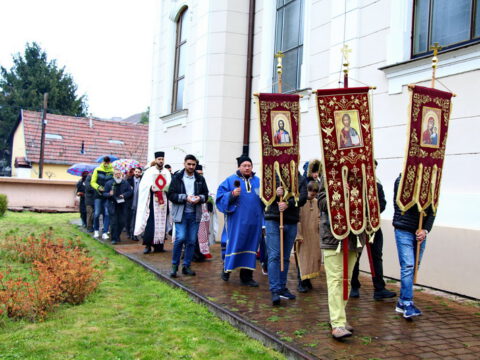 IMG_8740_resize_resize