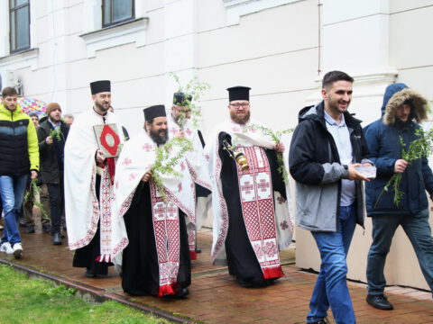 IMG_8762_resize_resize