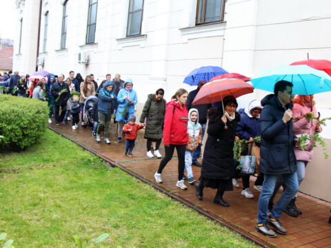 IMG_8768_resize_resize