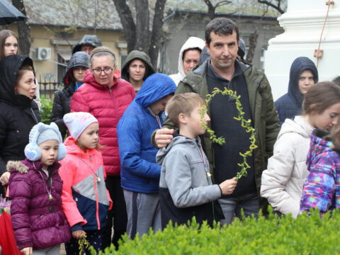 IMG_8773_resize_resize