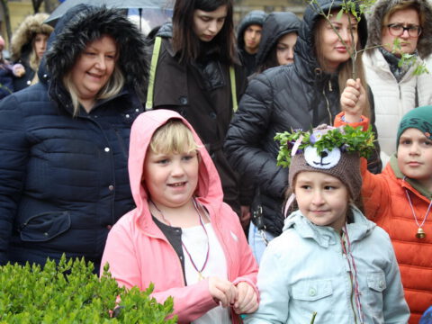 IMG_8779_resize_resize