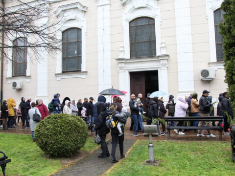 IMG_8783_resize_resize